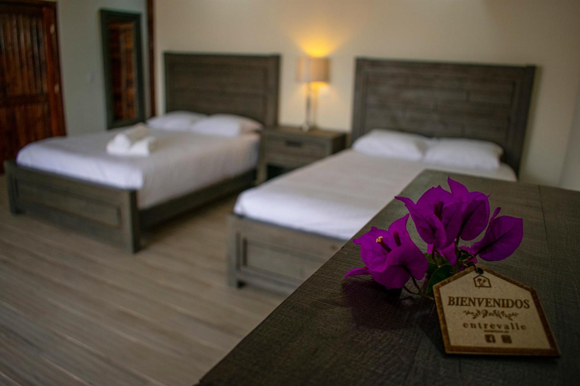ואלה דה גוואדלופה Entrevalle Hotel Boutique חדר תמונה